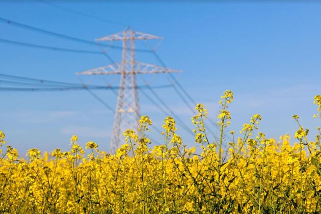 Через спеку та обстріли в Україні діятимуть вечірні графіки відключень світла